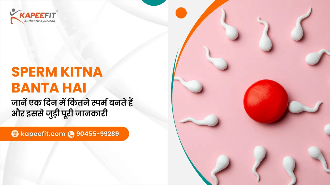Sperm Kitna Banta Hai